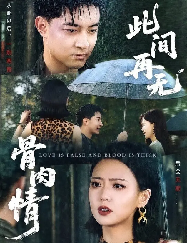 《此间再无骨肉情》：破碎家庭的残酷真相，血浓于水？不存在的！