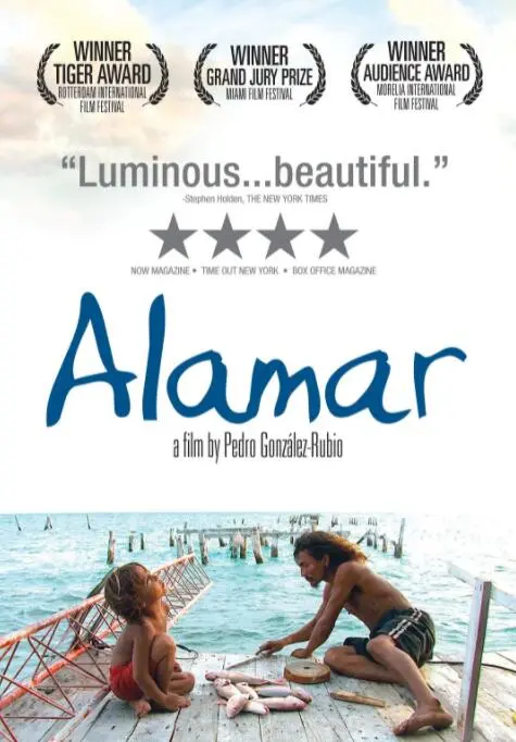 《拥抱大海》：一部关于家庭、救赎与海洋之美的感人电影，治愈你的心灵