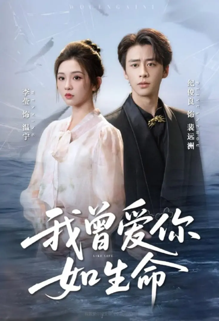 《我曾爱你如生命（宁夜向远）》：宁夜的星辰陨落，向远的爱意永恒（催泪传记）