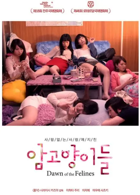 《雌猫们》：镜头下的土耳其女性群像，坚韧、独立与挣扎的生命力