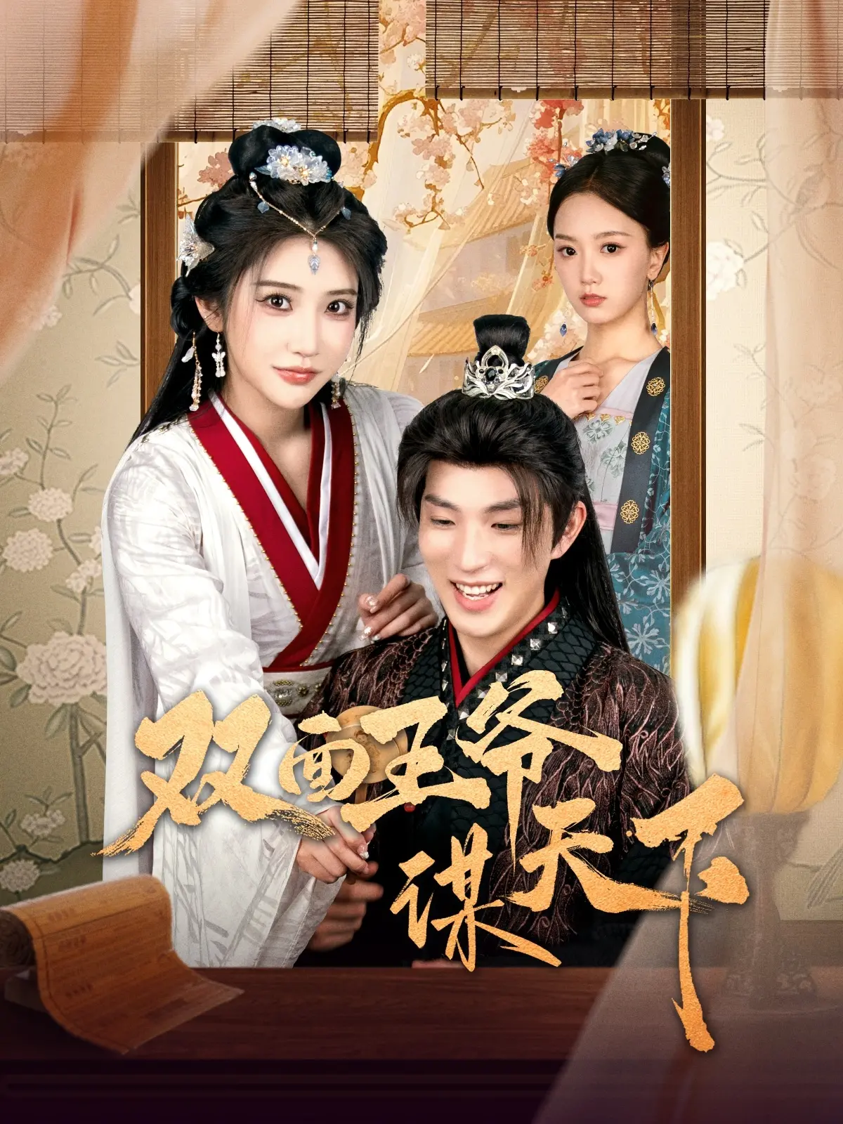 双面王爷谋天下 海报