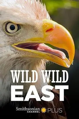 《狂野东部》：失落的兄弟情与东欧暗流涌动，一场人性与命运的野性碰撞！