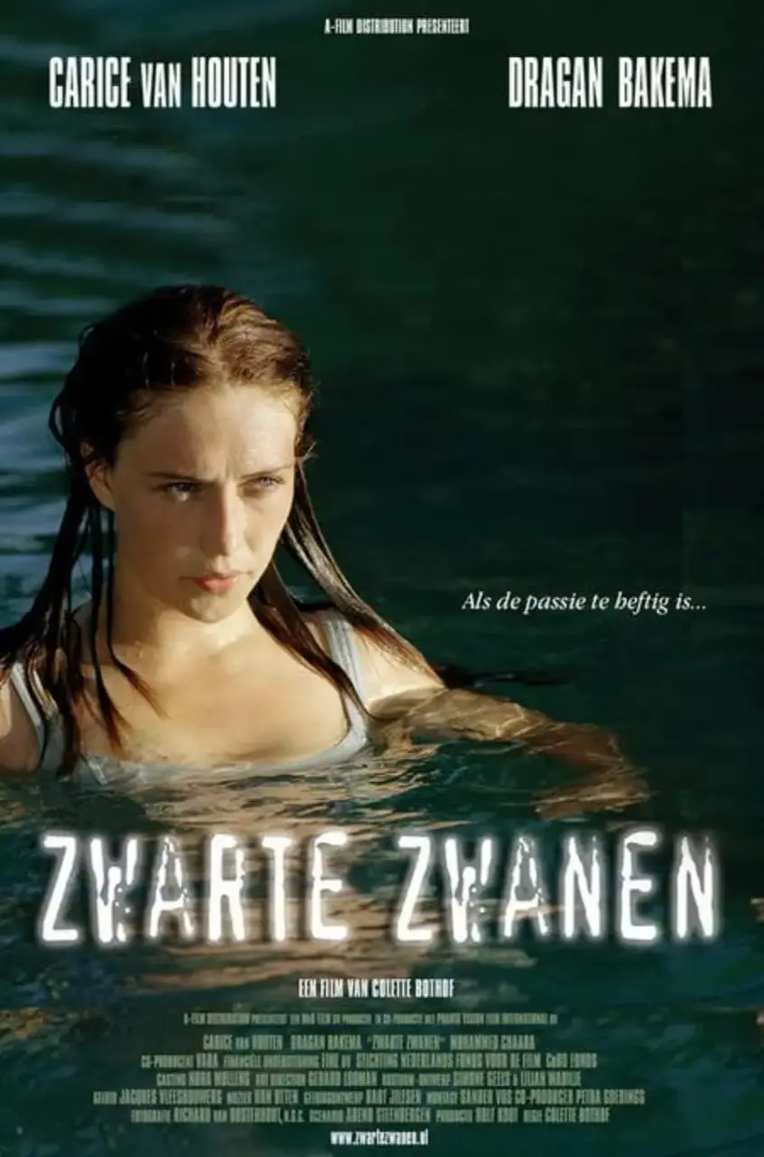 《黑天鹅》：一部关于追求极致完美的心理惊悚片，娜塔莉·波特曼的影后之路