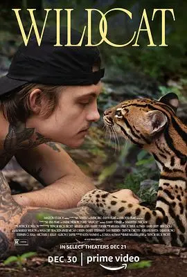 《野猫》：深度揭秘被裁员后的中年危机与人生逆袭，一个普通人的绝境反击与野性觉醒！